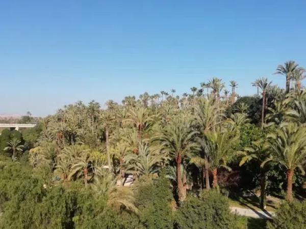 Terreno en Peña las Aguilas