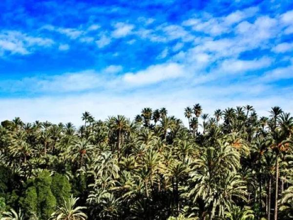 Terreno en Peña las Aguilas