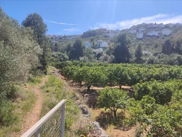 Terreno en avenida Pego