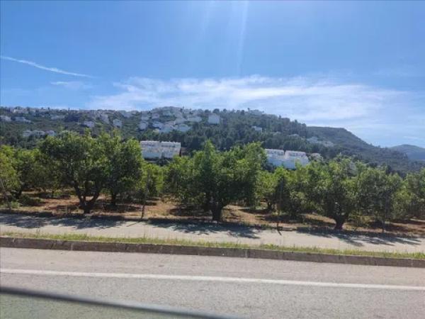 Terreno en avenida Pego