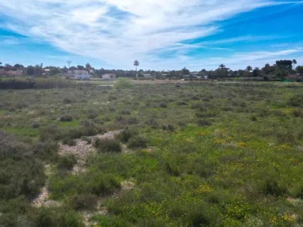 Terreno en camino del Visco