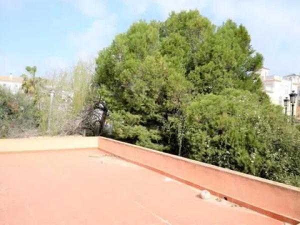 Terreno en calle Región de Murcia