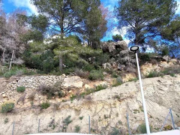 Terreno en Pinar de Advocat-Cometa