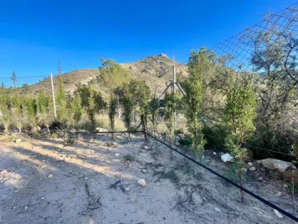 Terreno en Partida el Ginebre, 51