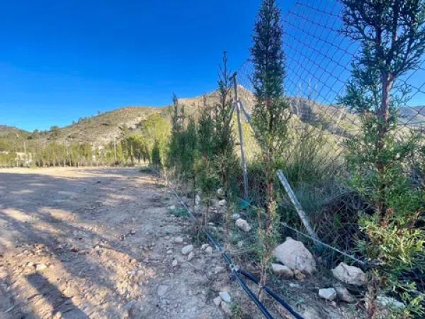 Terreno en Partida el Ginebre, 51