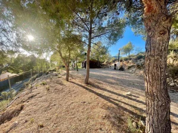 Terreno en Partida el Ginebre, 51