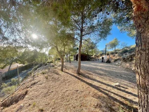 Terreno en Partida el Ginebre, 51