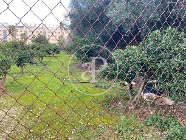 Terreno en Barrio Les Bassetes-El Marjal