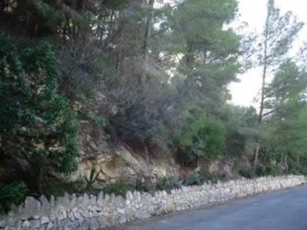 Terreno en Manzanera-Tosal