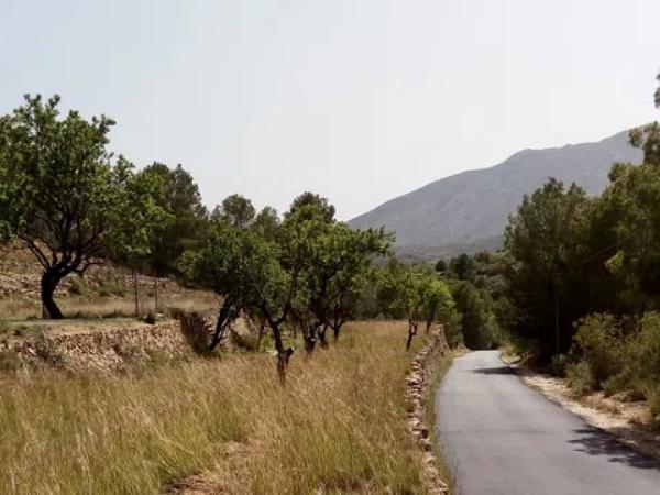 Terreno en partida Vinyent