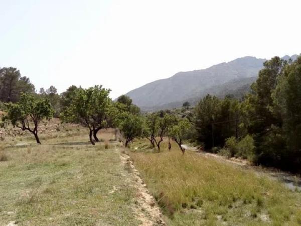 Terreno en partida Vinyent