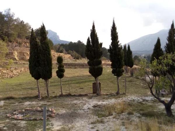 Terreno en partida Vinyent