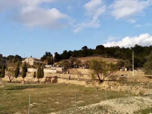 Terreno en partida Vinyent