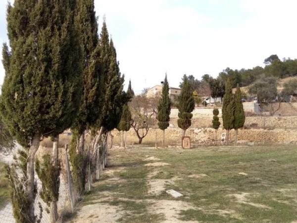 Terreno en partida Vinyent