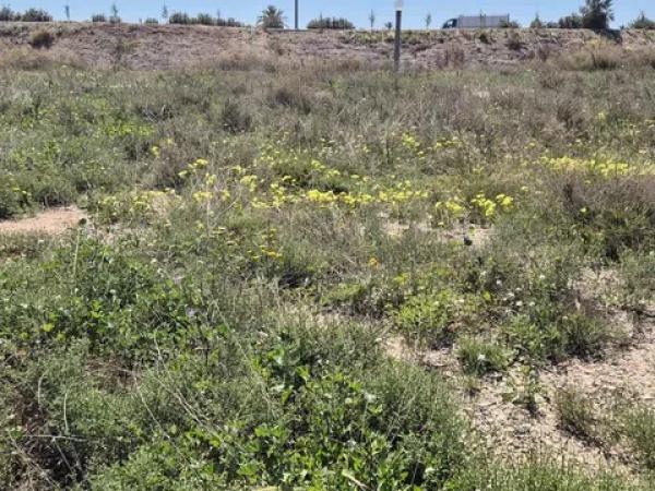 Terreno en Barrio Travalón