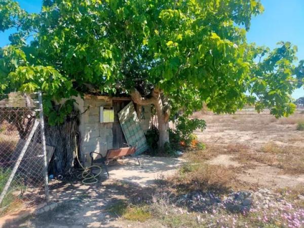 Terreno en La Hoya-Daimes-El Derramador