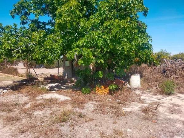 Terreno en La Hoya-Daimes-El Derramador