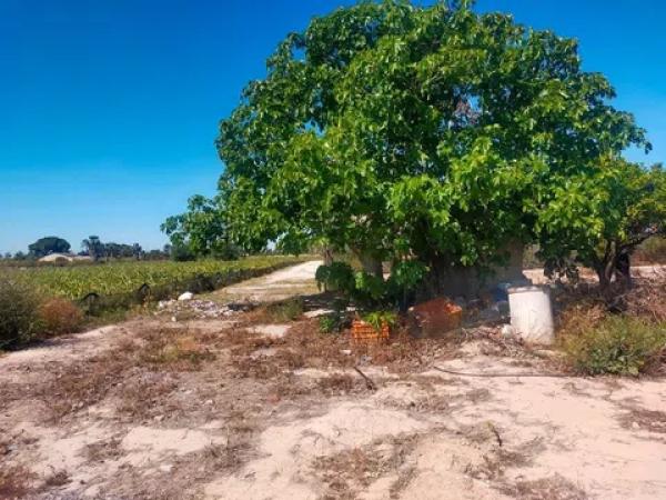 Terreno en La Hoya-Daimes-El Derramador