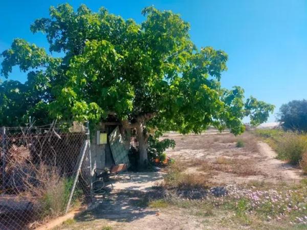 Terreno en La Hoya-Daimes-El Derramador