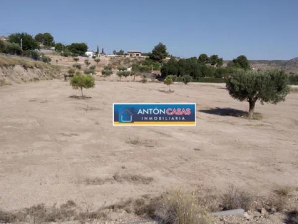 Terreno en Monovar