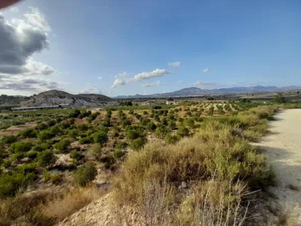 Terreno en Pedanías Este
