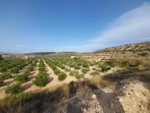 Terreno en Pedanías Este