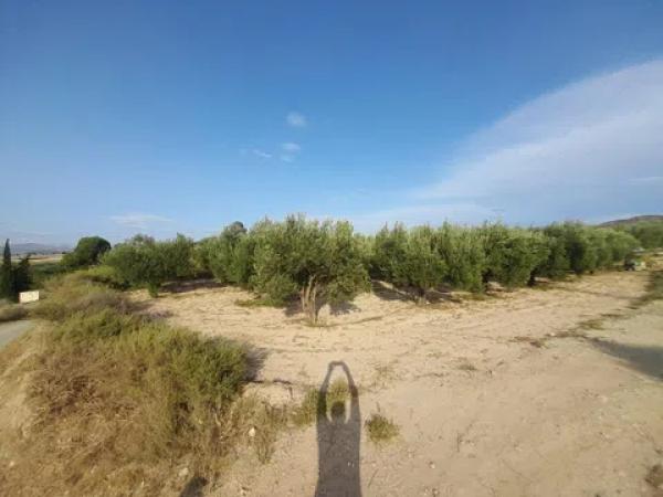 Terreno en Pedanías Este