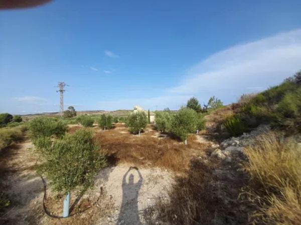 Terreno en Pedanías Este