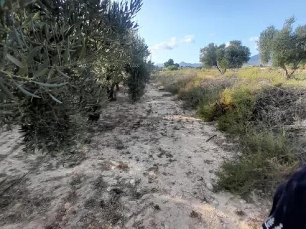 Terreno en Pedanías Este