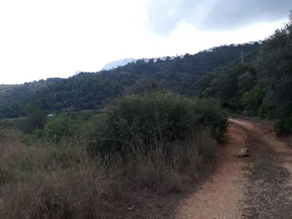 Terreno en avenida Monte Pego-Dénia