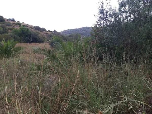 Terreno en avenida Monte Pego-Dénia