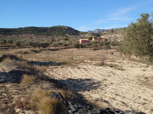 Terreno en camino Macaroves, 69