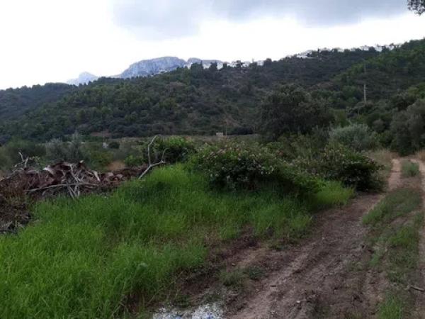 Terreno en avenida Monte Pego-Dénia