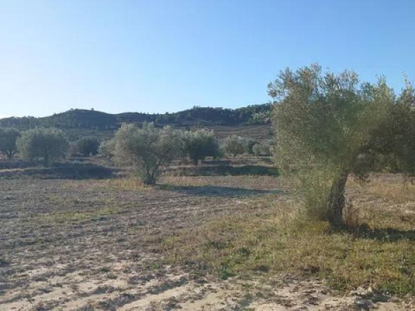 Terreno en camino Macaroves, 69