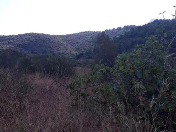 Terreno en avenida Monte Pego-Dénia
