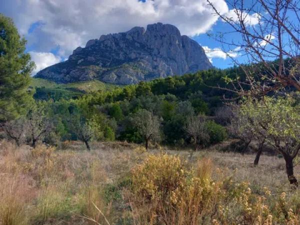 Terreno en El Realet