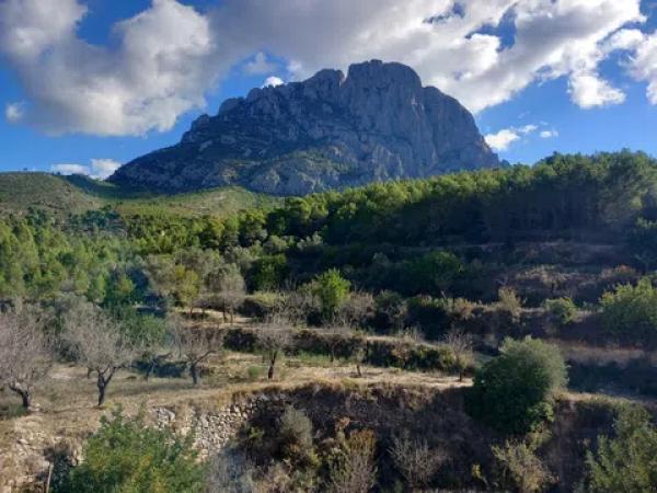 Terreno en El Realet