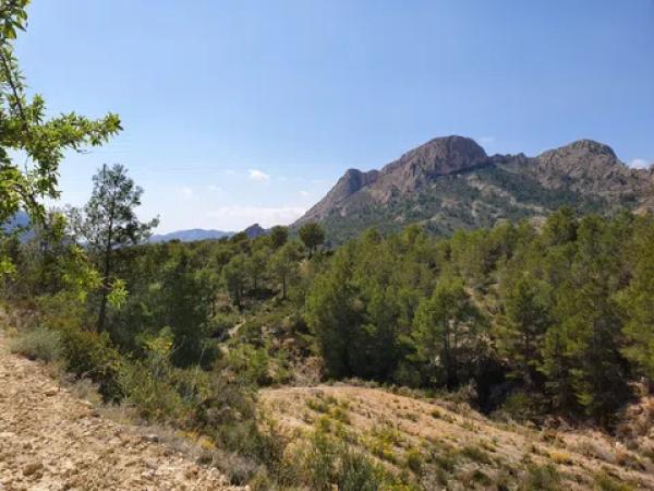 Terreno en El Realet