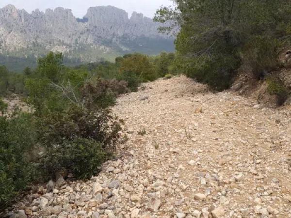 Terreno en El Realet