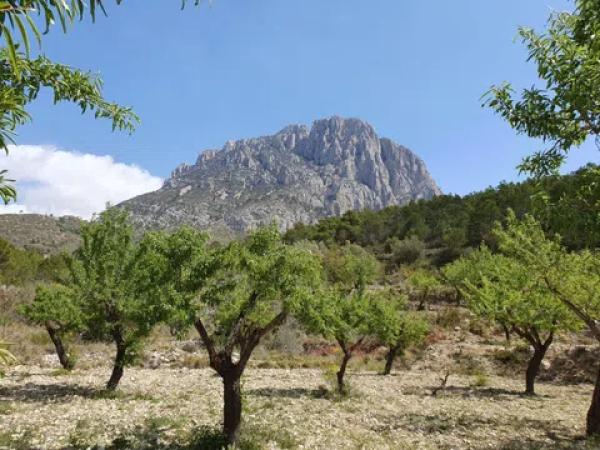 Terreno en El Realet