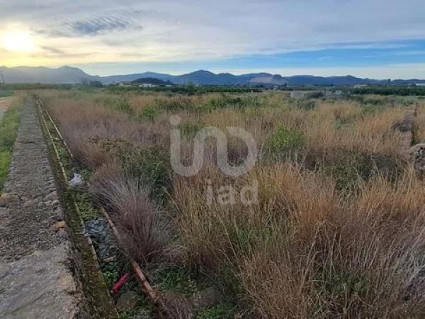 Terreno en Pego