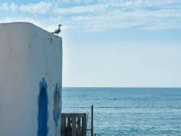 Terreno en Barrio El Palmeral-Urbanova-Tabarca