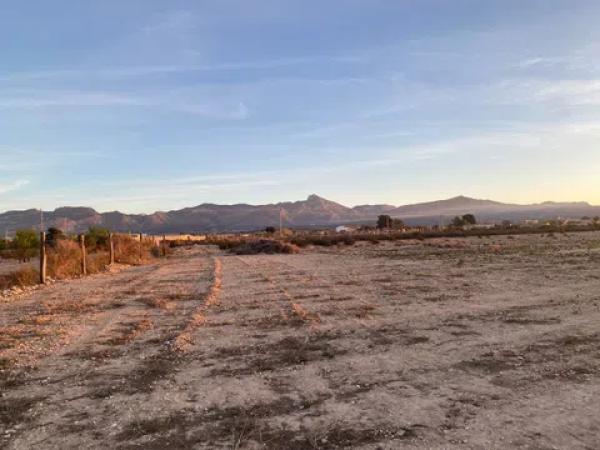 Terreno en Foia El Pi, 25 -35