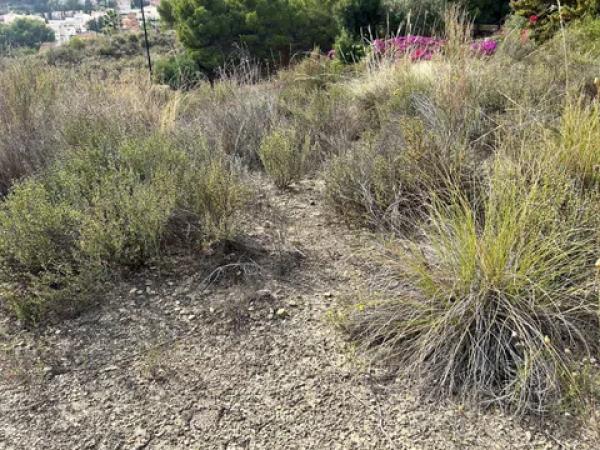Terreno en Pueblo Acantilado - Lanuza