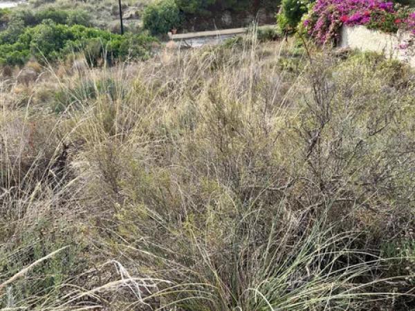Terreno en Pueblo Acantilado - Lanuza