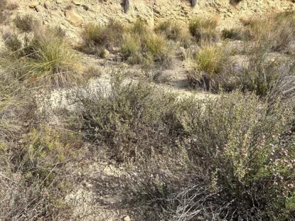 Terreno en Pueblo Acantilado - Lanuza
