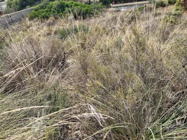 Terreno en Pueblo Acantilado - Lanuza