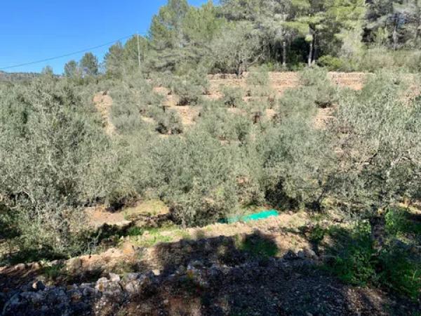 Terreno en Polígono Sau6 Sector 3, 223