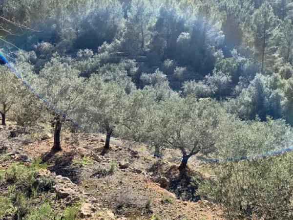 Terreno en Polígono Sau6 Sector 3, 223