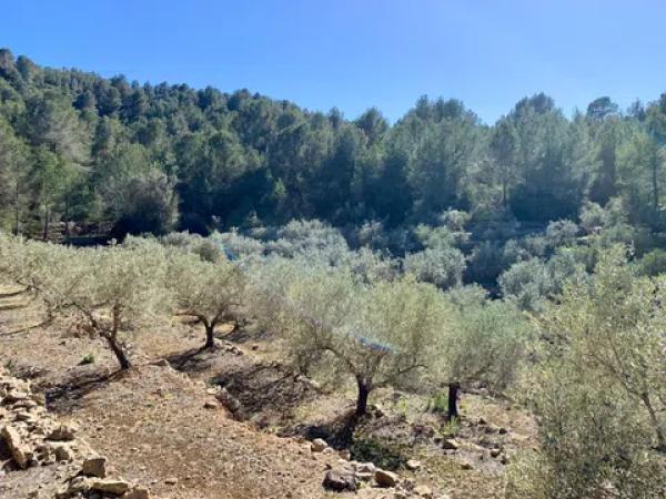 Terreno en Polígono Sau6 Sector 3, 223